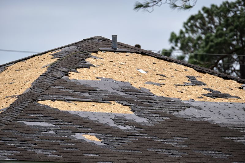 Roof Repair